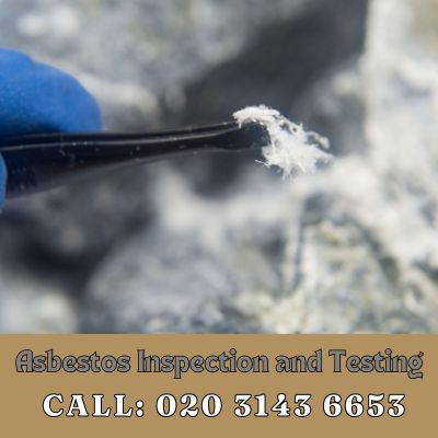 Comprehensive Asbestos Inspection and Testing Services in Mitcham